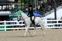 HSM_6132
