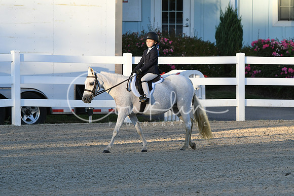 HSM_1597