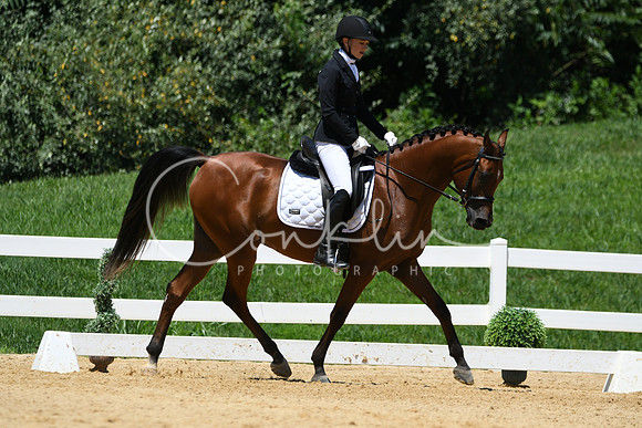 HSM_1482