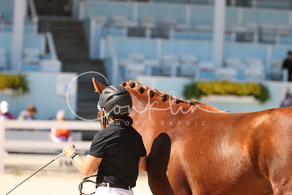 RJC31148
