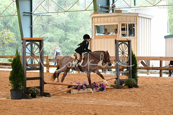 HSM_5818