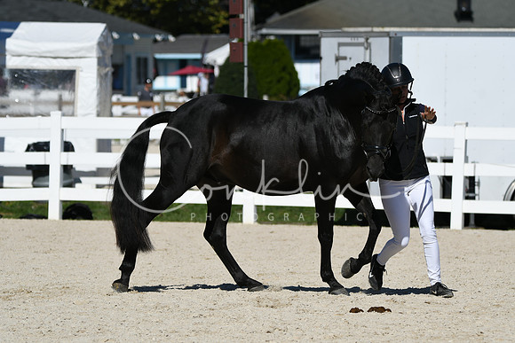 HSM_4641