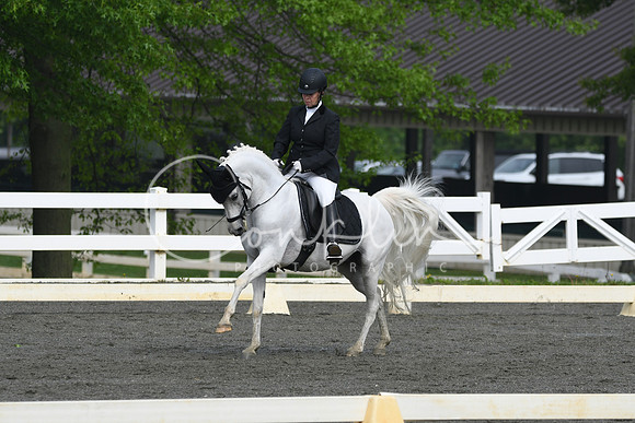 HSM_0981