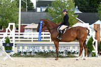 HSM_0479