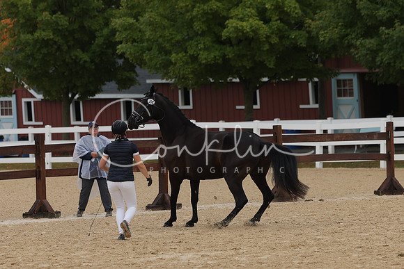 HLK_3989
