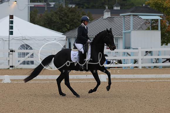 HLK_2011