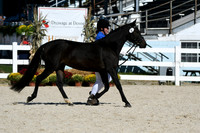HSM_4557