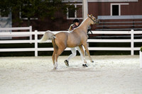 HSM_5879