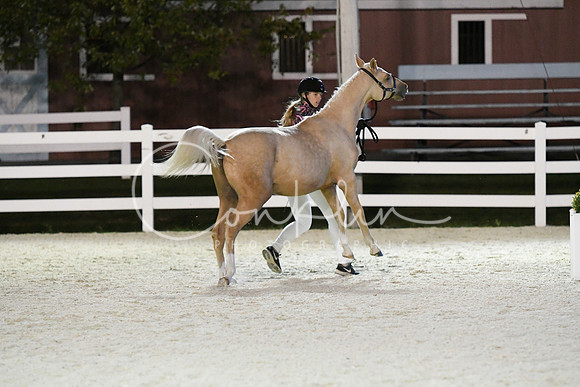 HSM_5879