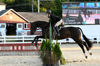 HSM_0290