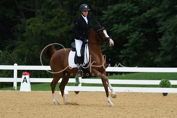 HSM_1079