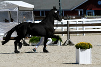 HSM_4731