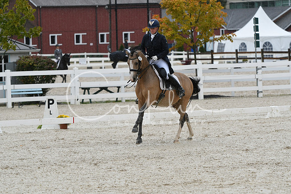 HSM_0271