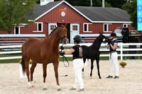 HSM_6316
