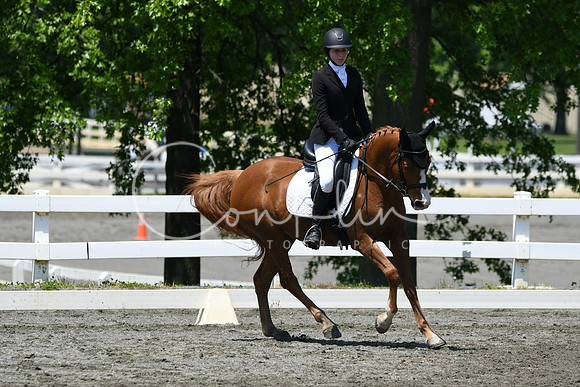 HSM_1566