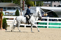 HSM_6008