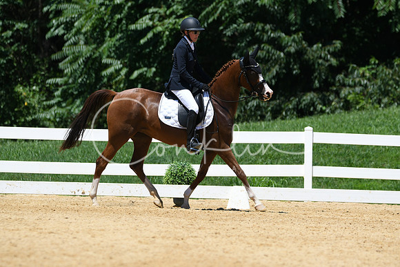 HSM_1428