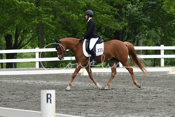 HSM_0619