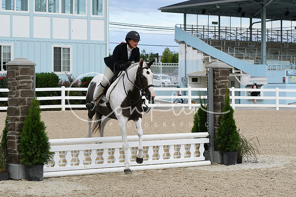 HSM_5196