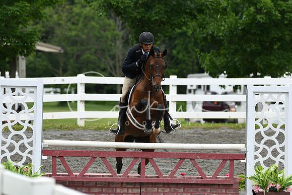 HSM_4184