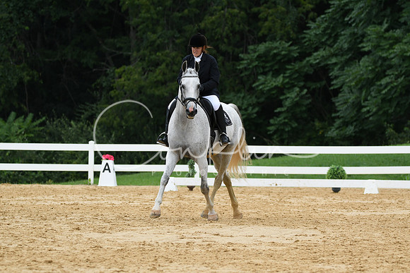 HSM_0379