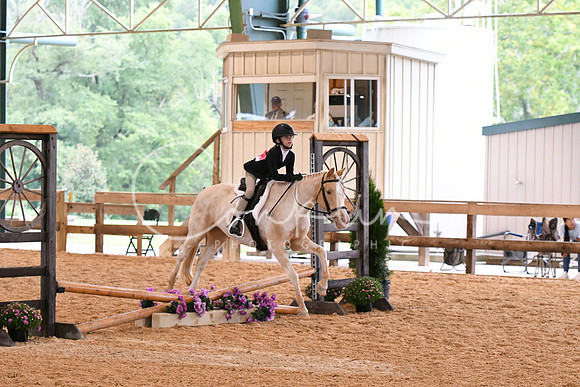 HSM_5968
