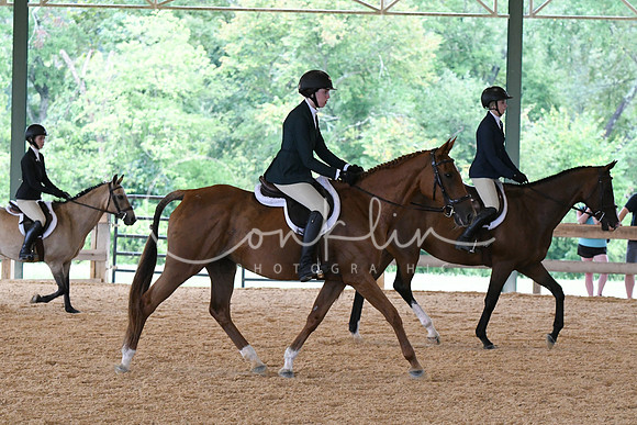 HSM_2472