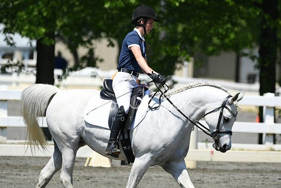HSM_1500