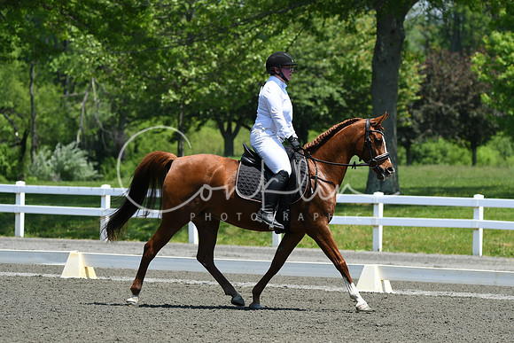 HSM_1717