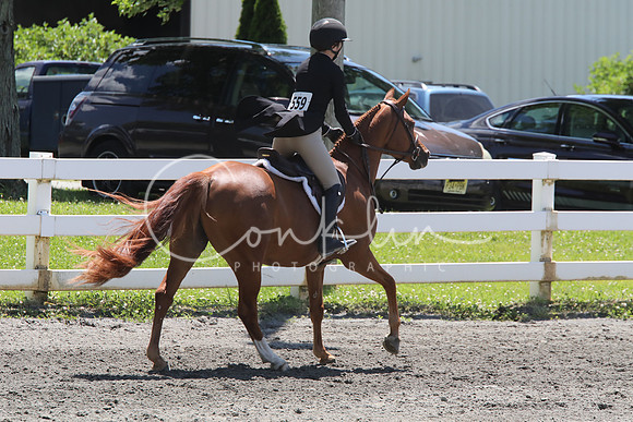 5H2A0981