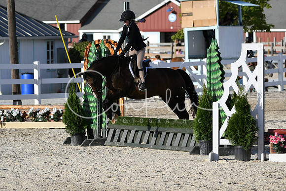 HSM_4501
