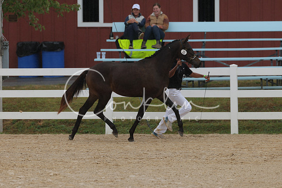 HLK_3644