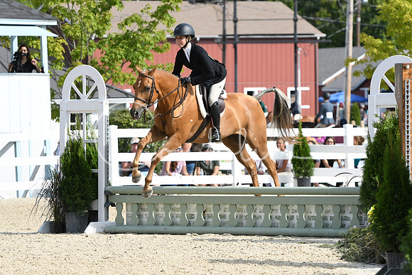 HSM_6041