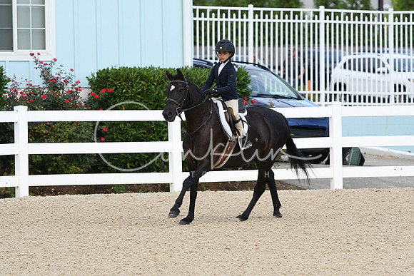 HSM_5447