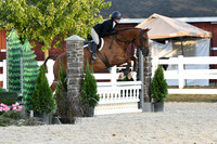 HSM_0308