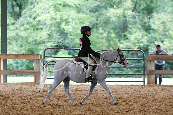 HSM_6377