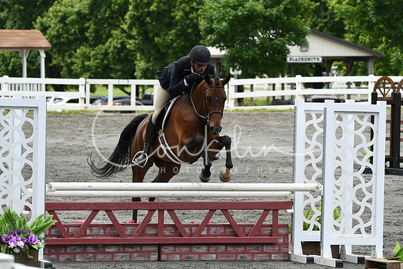 HSM_4201