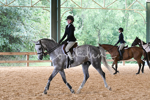 HSM_2455