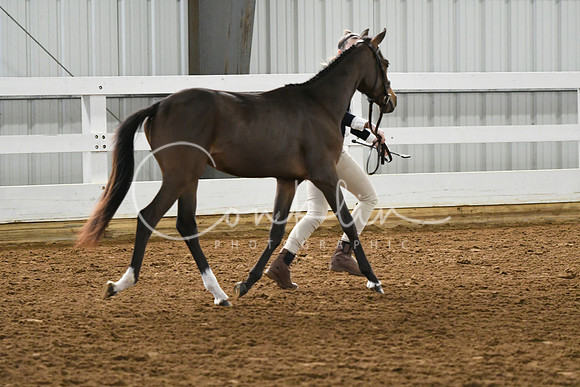 HSM_3810