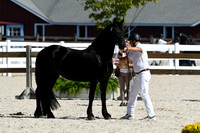 HSM_4747