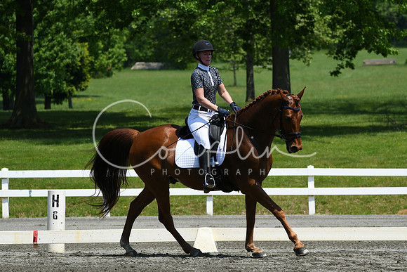 HSM_2066