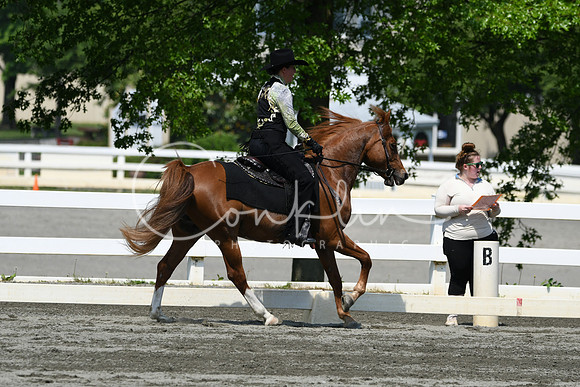 HSM_2809