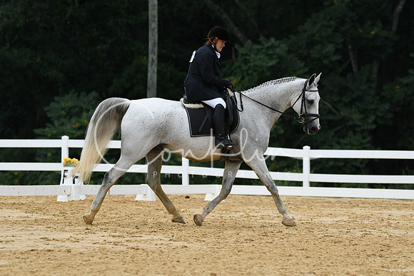 HSM_0387