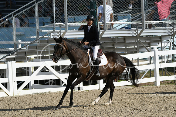 HSM_1753