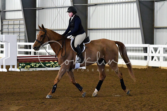 HSM_4582-1