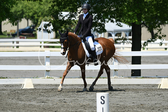 HSM_1554