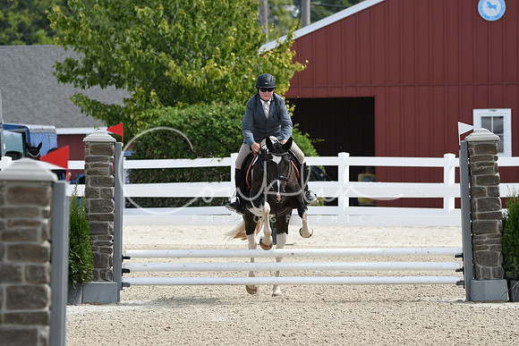 HSM_2168
