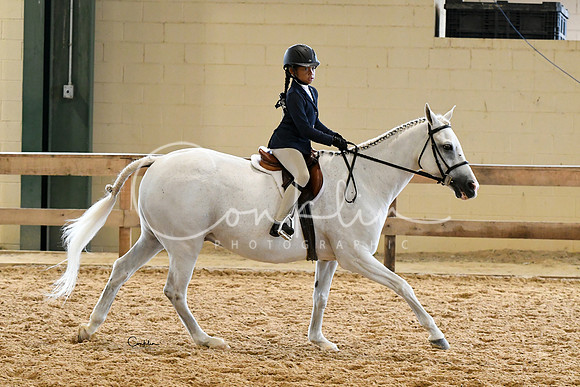 HSM_5904-1