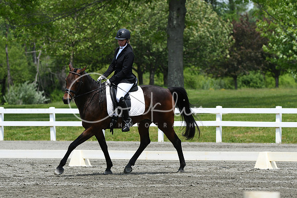 HSM_0435
