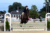 HSM_0500-1